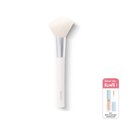 4U2 PRO BLUSH BRUSH
